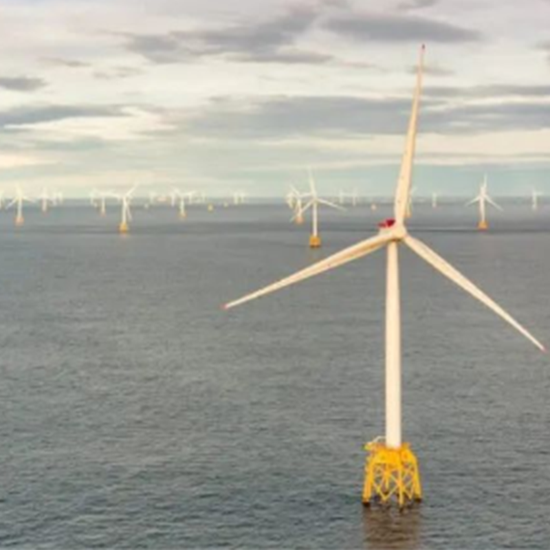 CIP trabaja con autoridades mexicanas en proyectos de hidrógeno verde y combustible marino
